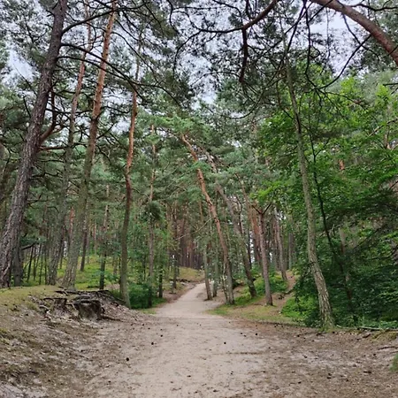 Bursztynowy 2 Pokojowy Z Ogrodzonym Tarasem Przy Nadmorskim Lesie *