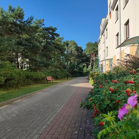 Bursztynowy 2 Pokojowy Z Ogrodzonym Tarasem Przy Nadmorskim Lesie