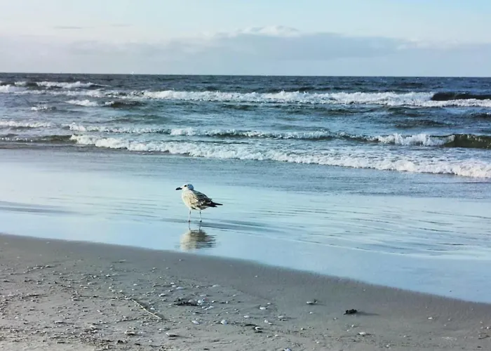 Bursztynowy 2 Pokojowy Z Ogrodzonym Tarasem Przy Nadmorskim Lesie Apartament *