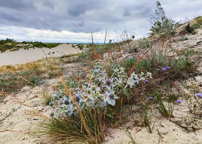 Bursztynowy 2 Pokojowy Z Ogrodzonym Tarasem Przy Nadmorskim Lesie * Jantar