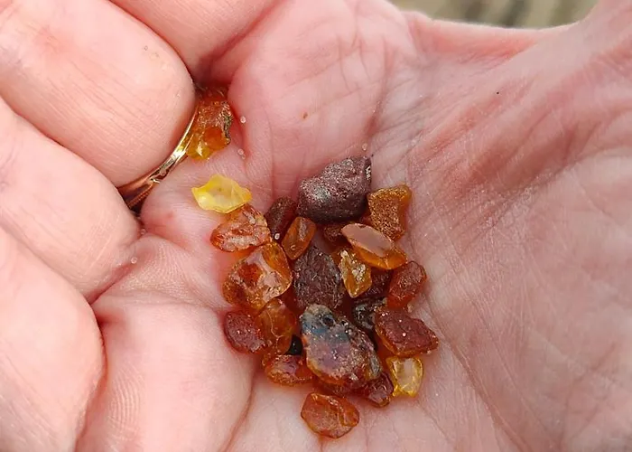 Bursztynowy 2 Pokojowy Z Ogrodzonym Tarasem Przy Nadmorskim Lesie Apartament *