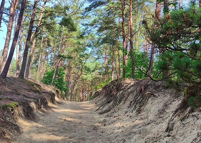 Bursztynowy 2 Pokojowy Z Ogrodzonym Tarasem Przy Nadmorskim Lesie * Jantar