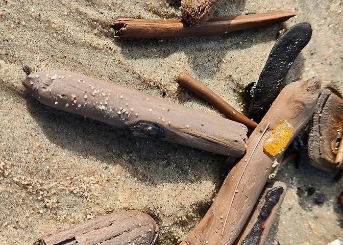 Apartament Bursztynowy 2 Pokojowy Z Ogrodzonym Tarasem Przy Nadmorskim Lesie